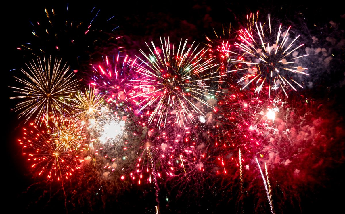 Silvester neujahr emotionen sylvester tiere gelukkig Sylvester